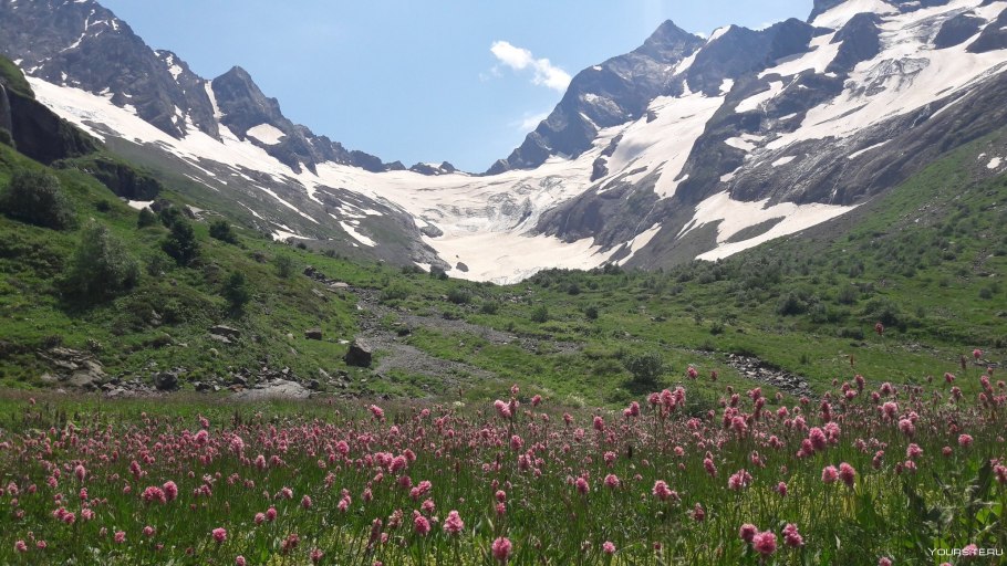 Горы Кабардино Балкарии Альпийские Луга