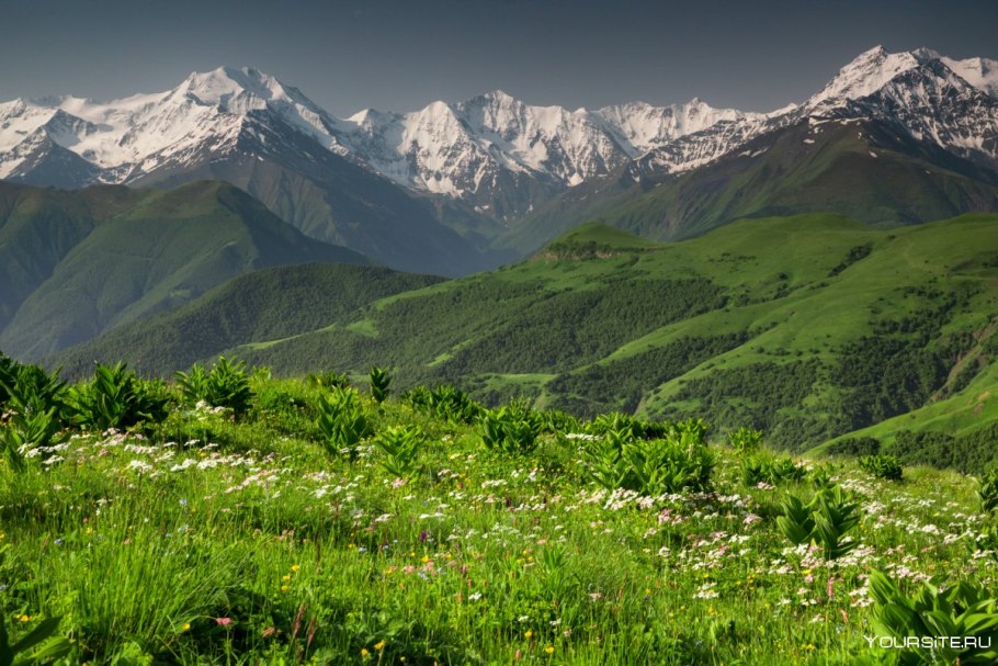 Альпийские Луга Северной Осетии
