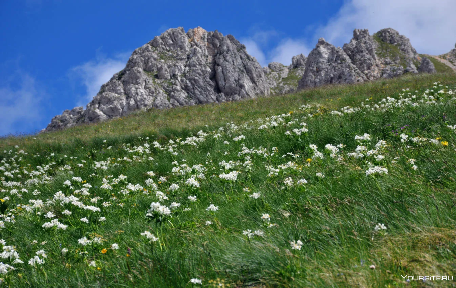 Альпийские Луга КЧР
