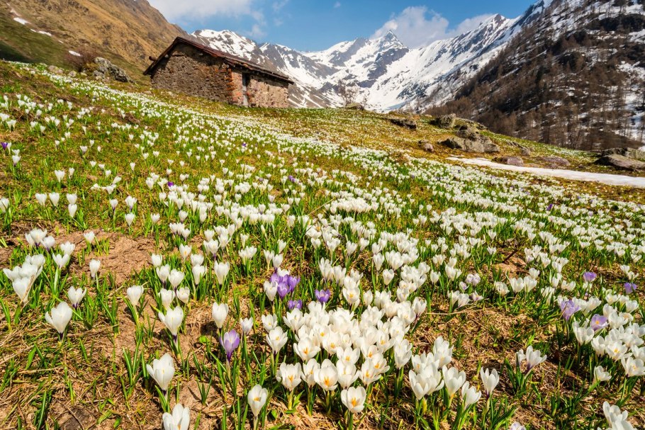 Национальный парк Маунт-Рейнир