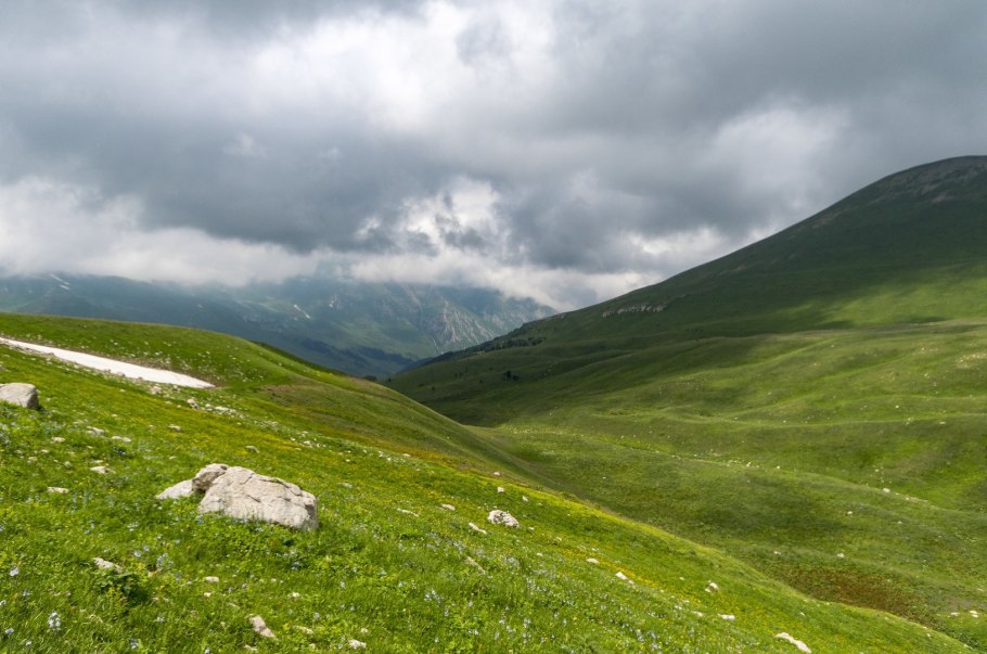 Альпийские Луга Северного Кавказа