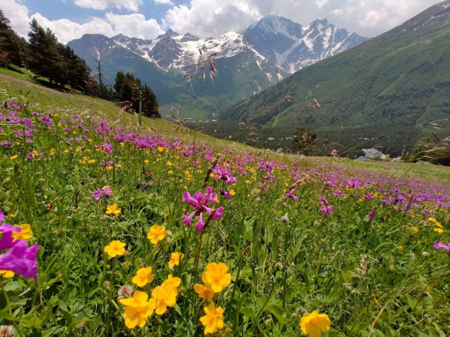 Кавказский биосферный заповедник Адыгея