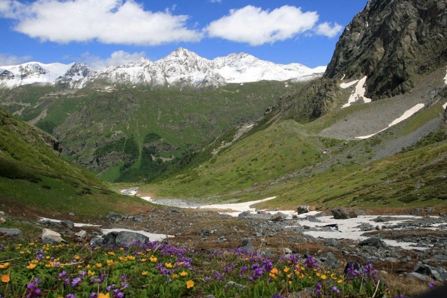 Альпийские Луга Швейцария Альпийские Луга Швейцария