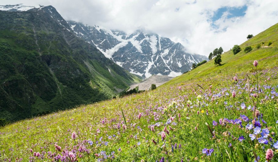 Альпийские Луга Абхазии, Пыв
