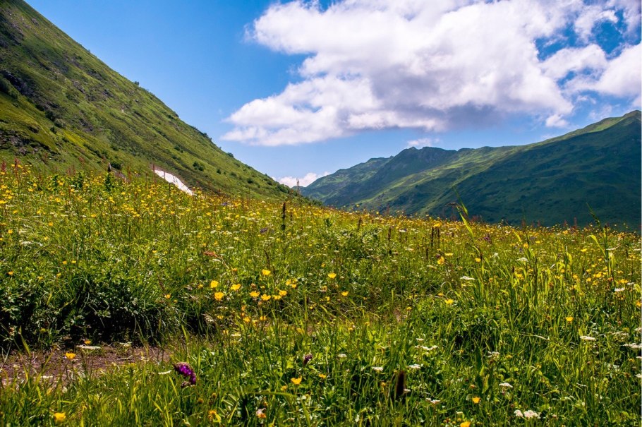 Субальпийский пояс Кавказа