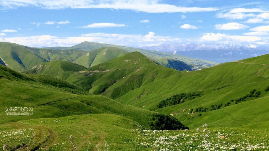 Альпийские Луга Чечня
