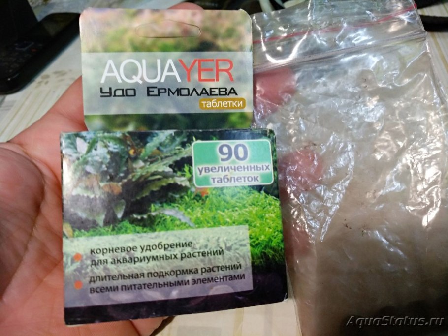 Криптокорина Лютея