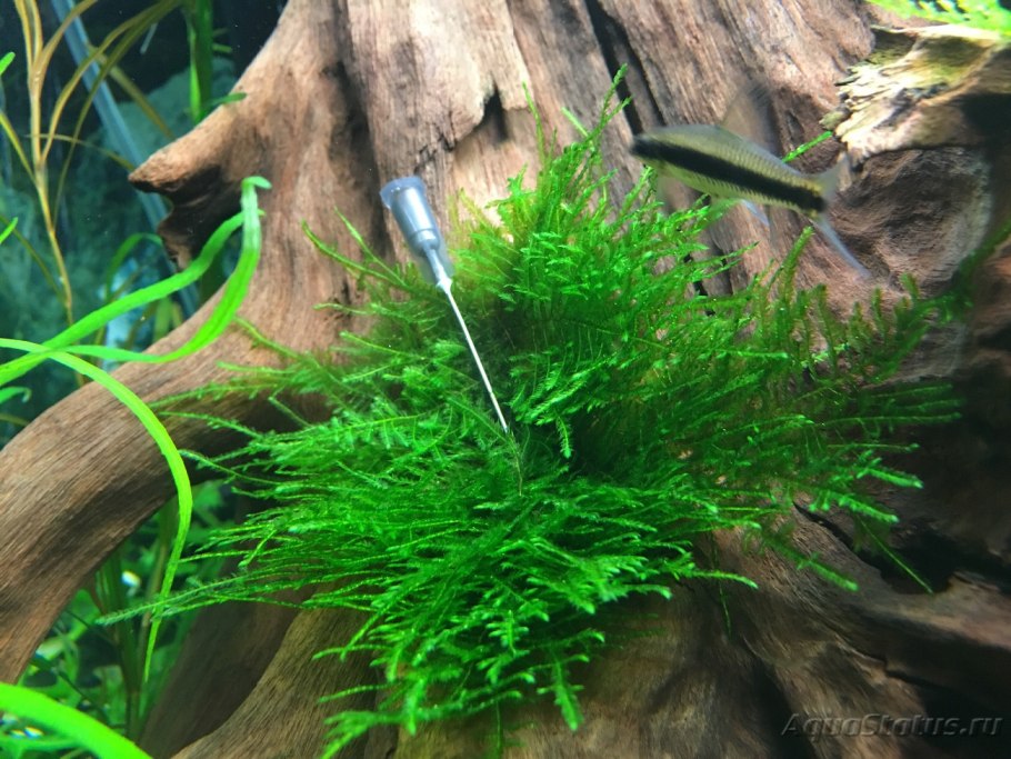 Таблетки для аквариумных растений тетра