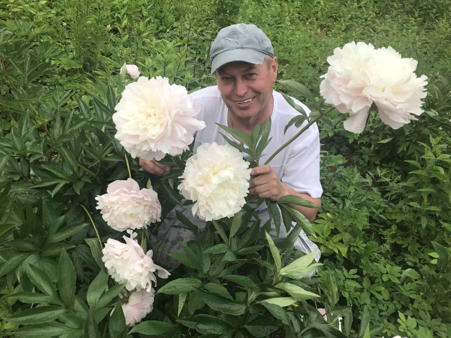 Пион Сейдл супер