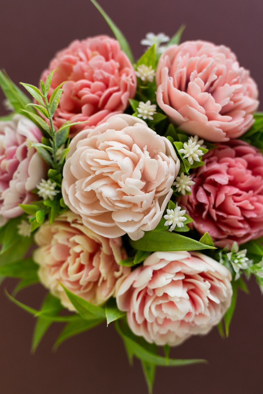 Пион Iskra nadezhdy