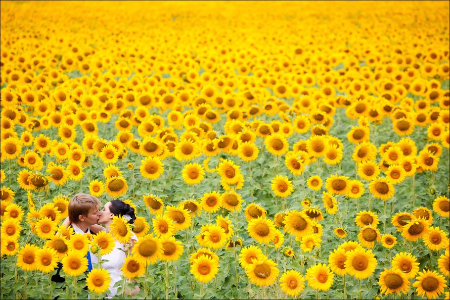 Картинки желтого цвета