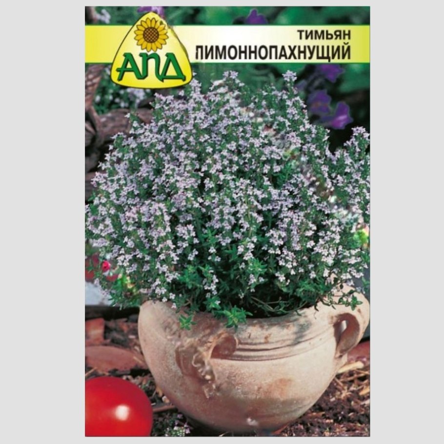 Тимьян чабрец лимонный НК