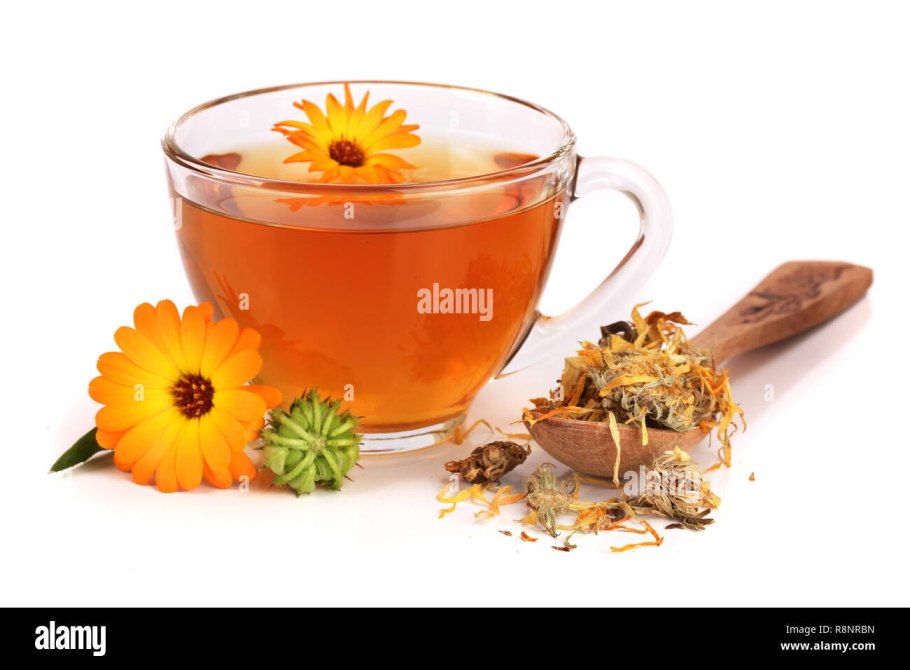 Календула без фона