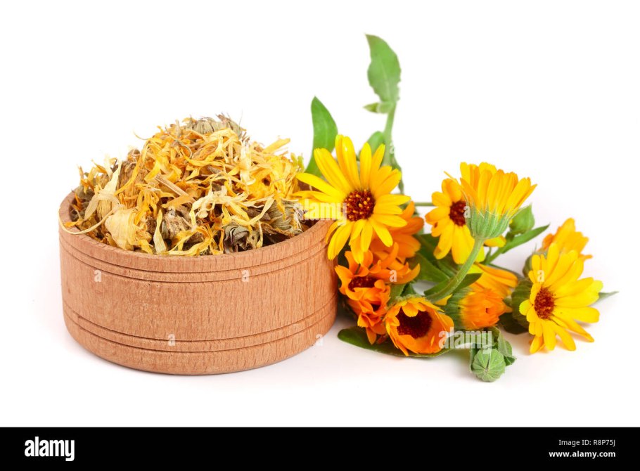 Букет календулы на белом фоне