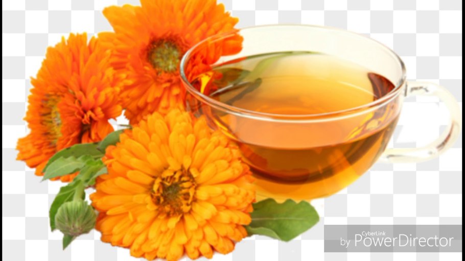 Calendula officinalis Flores настой