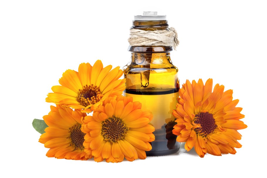 Calendula officinalis Flower Oil