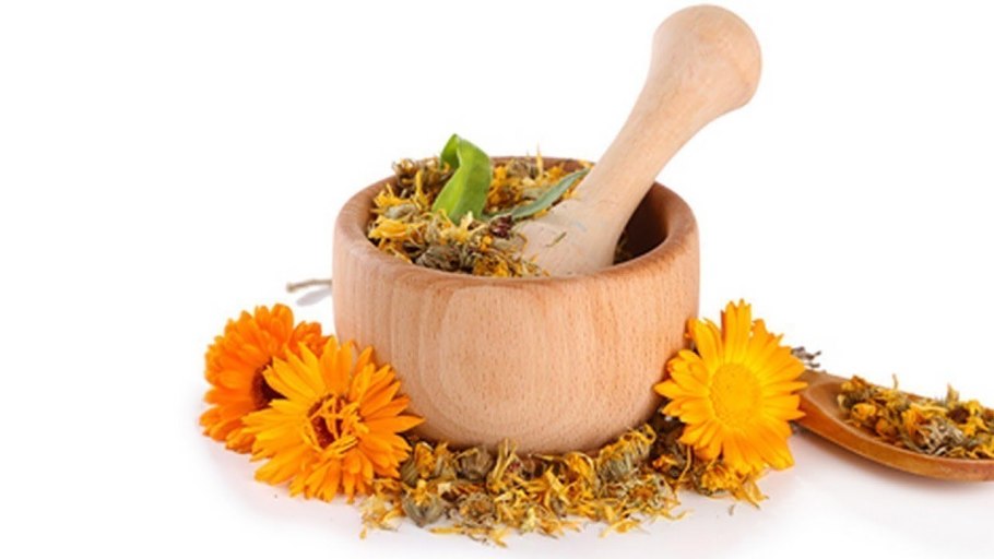 Календула картинка для детей на прозрачном фоне для презентации