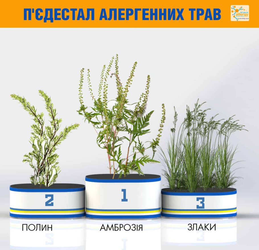 Полыни, амброзии, лебеды