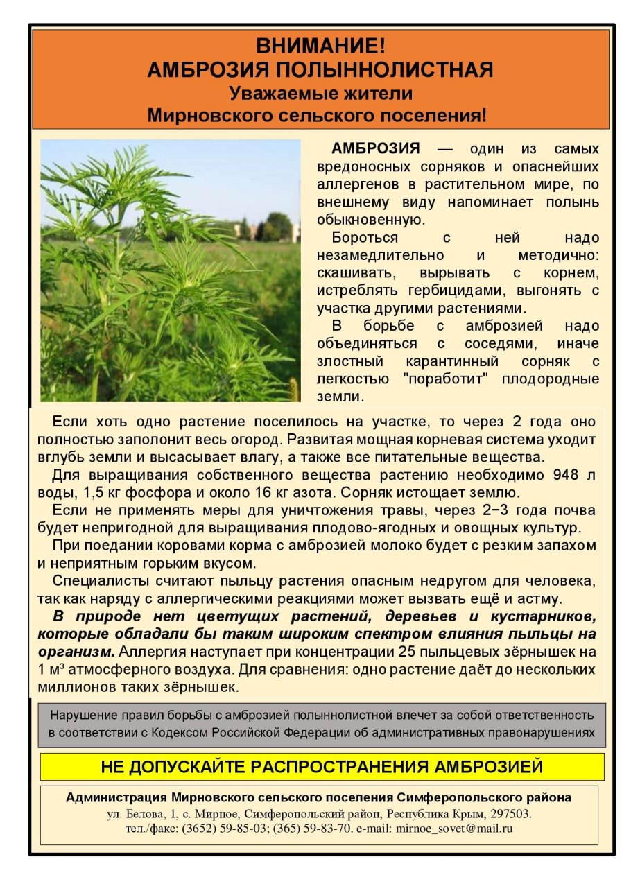 Бурьян Алиса