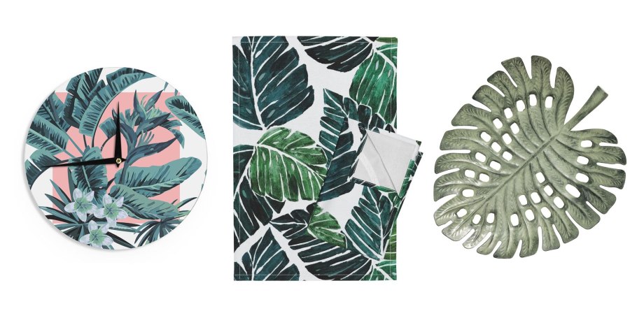 Монстера Bangsaphan Blue