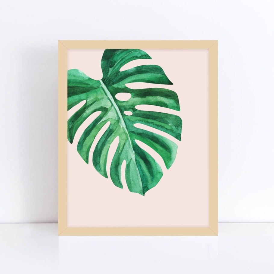 Монстера декор