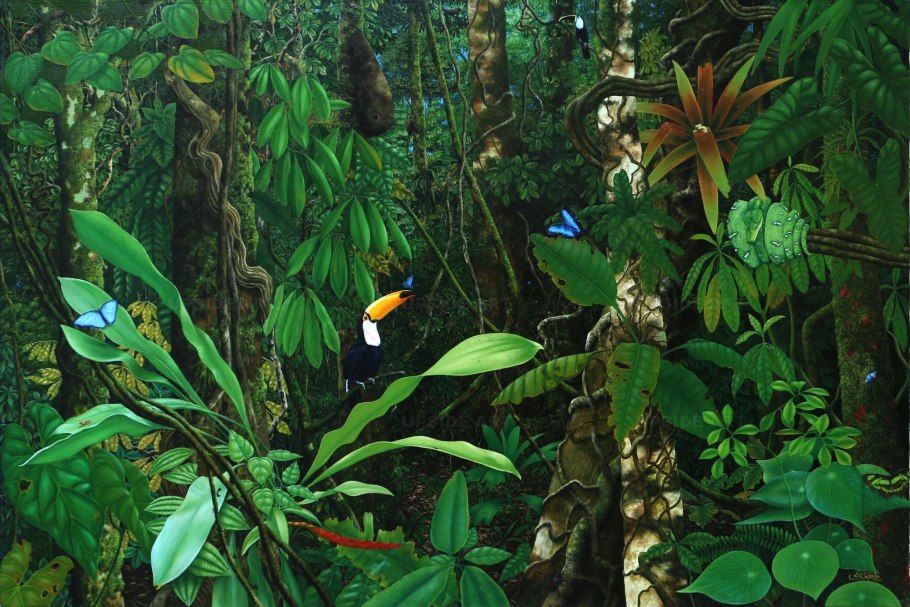 Сельва тропические цветы