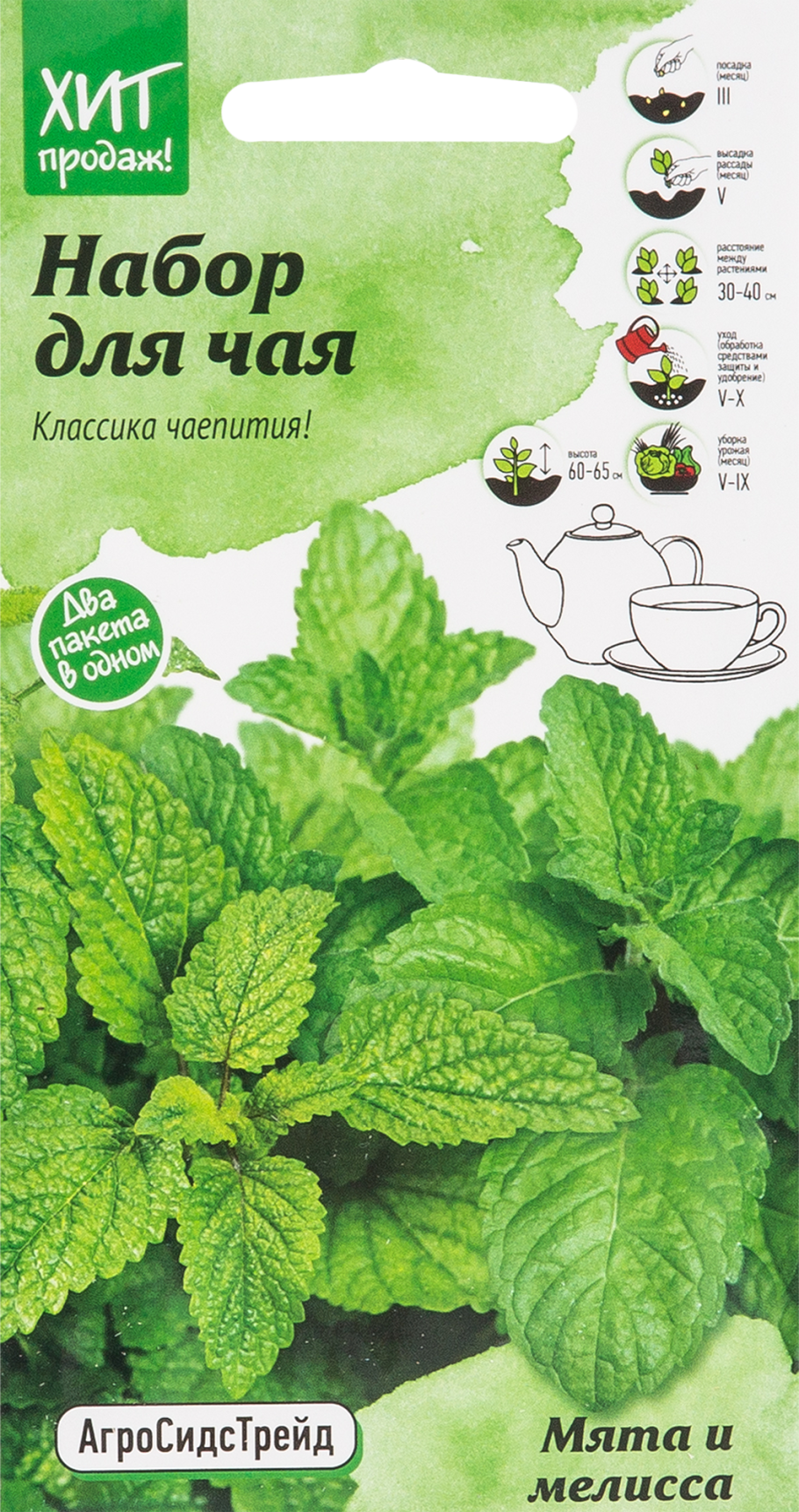 Мята Мелисса перечная мята