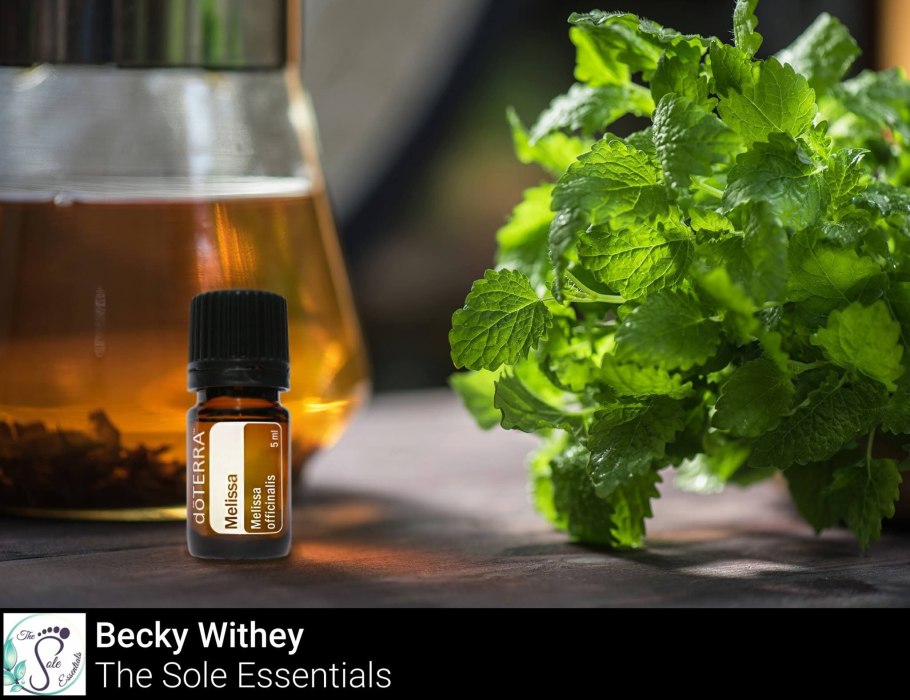 Мята перечная комнатная