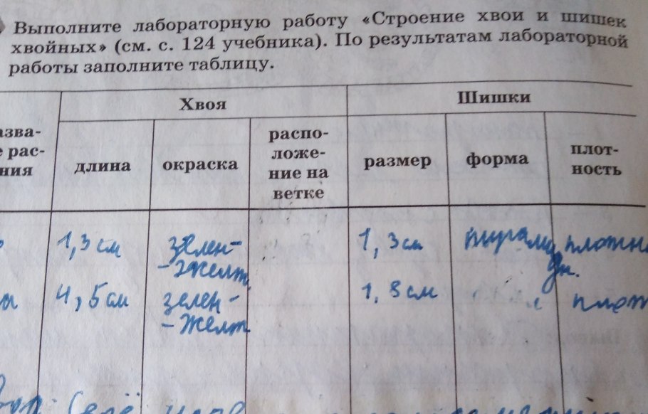 Строение хвои и шишек хвойных лабораторная работа 7 класс по биологии