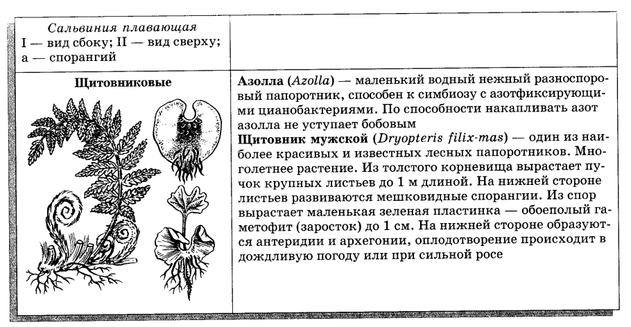 Приспособления папоротника