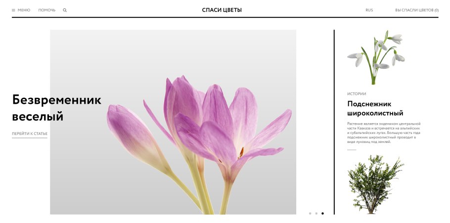 Безвременник веселый раскраска