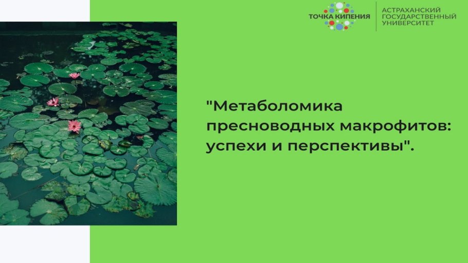 Классификация макрофитов