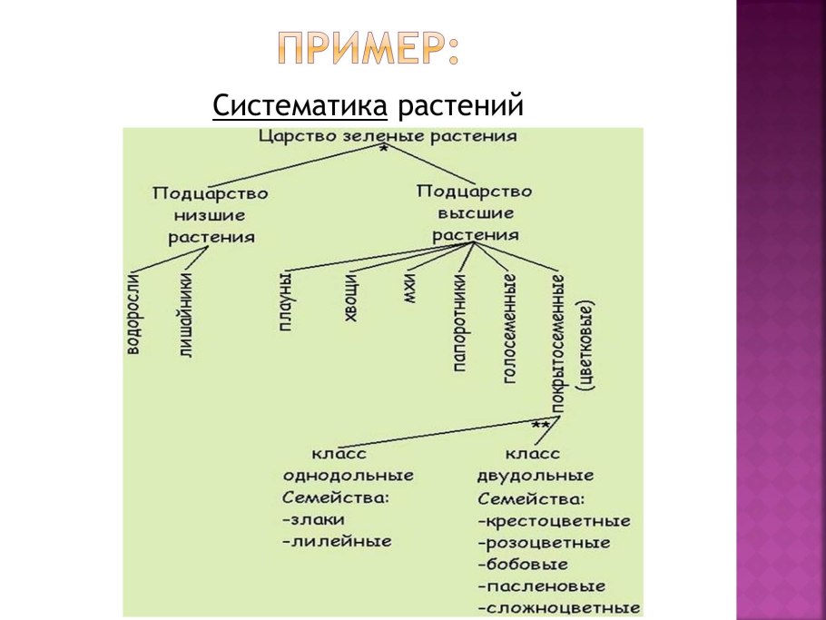 Систематика царства растений