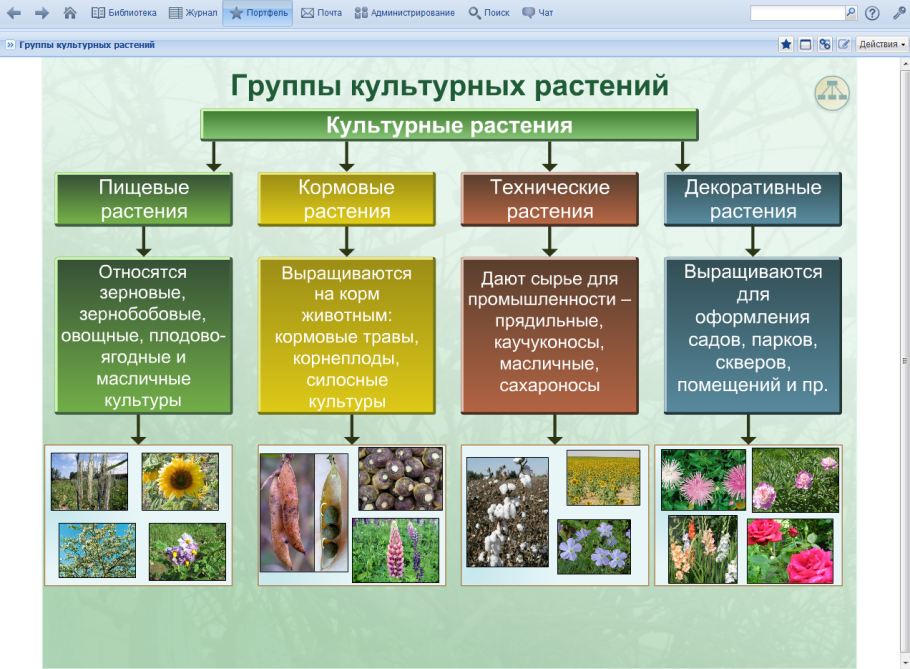 Фиды культурных растений