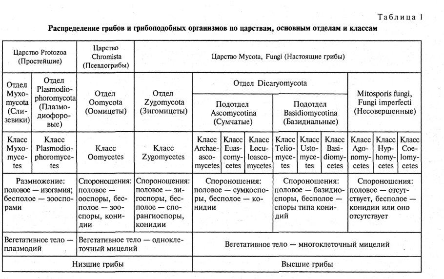 Типы плодов 6 класс биология
