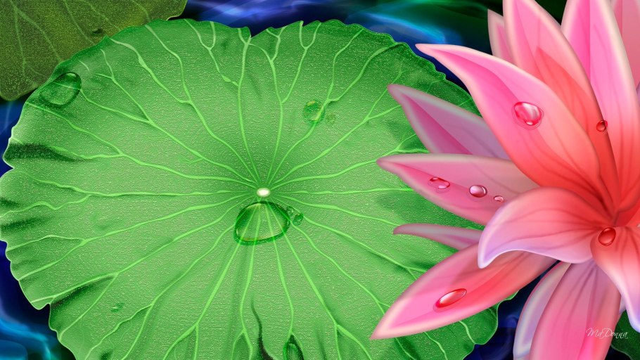 Кувшинки 3d