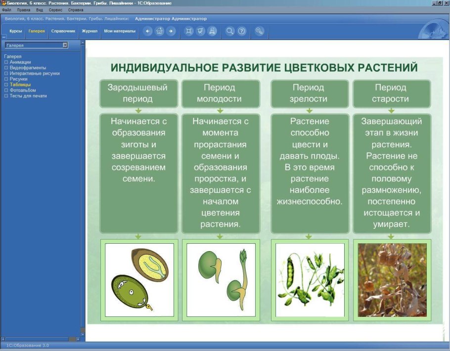 Ткани покрытосеменных растений таблица