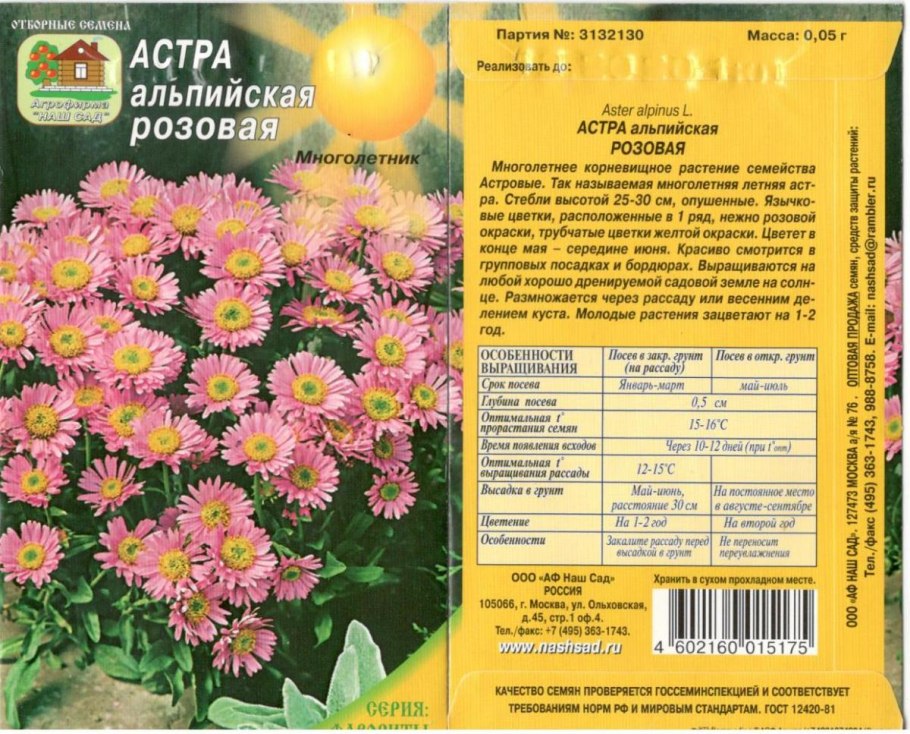 Астра Альпийская многолетняя