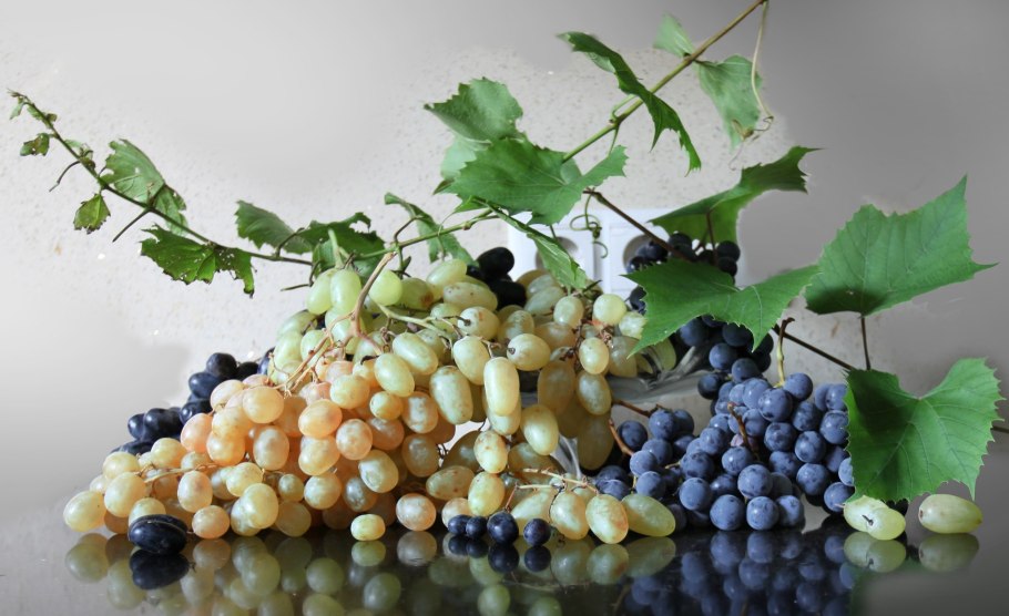 Листва виноградника лоза