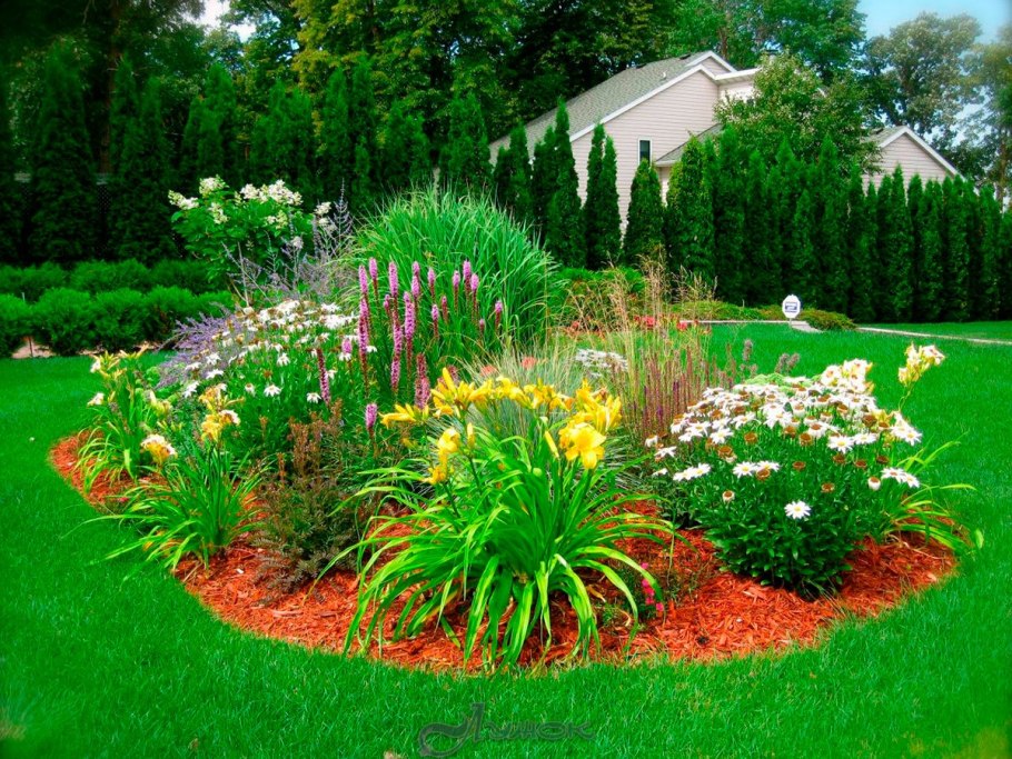 Лилейник в миксбордере