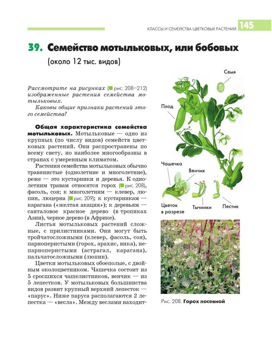 Листья мотыльковых растений