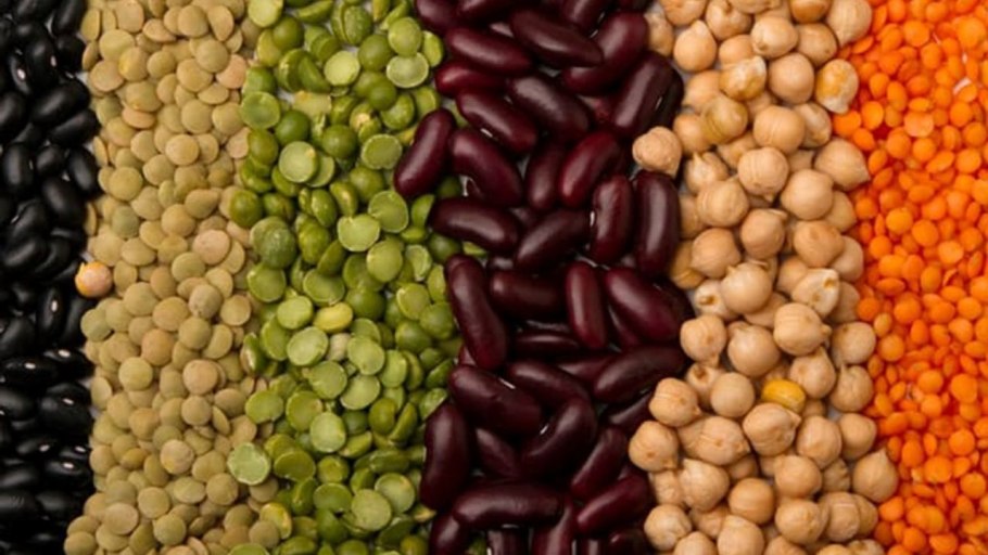 Зерново бобовые культуры