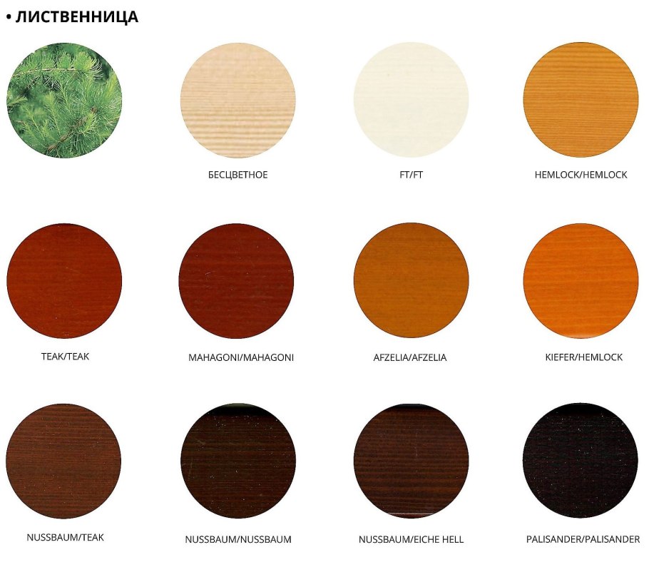 Разница древесины лиственница сосна кедр ель