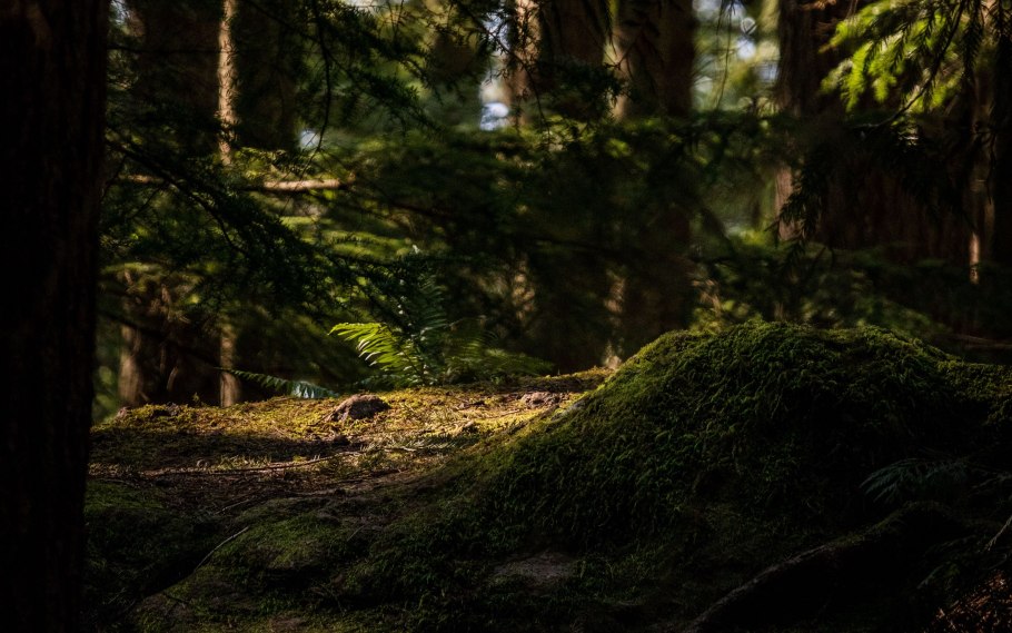 Зима солнце