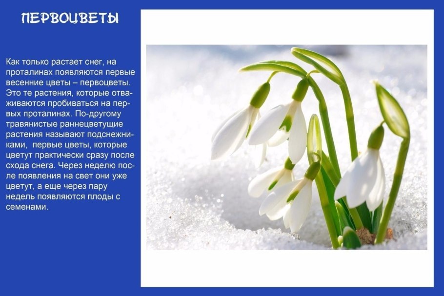 Весна нежность любовь