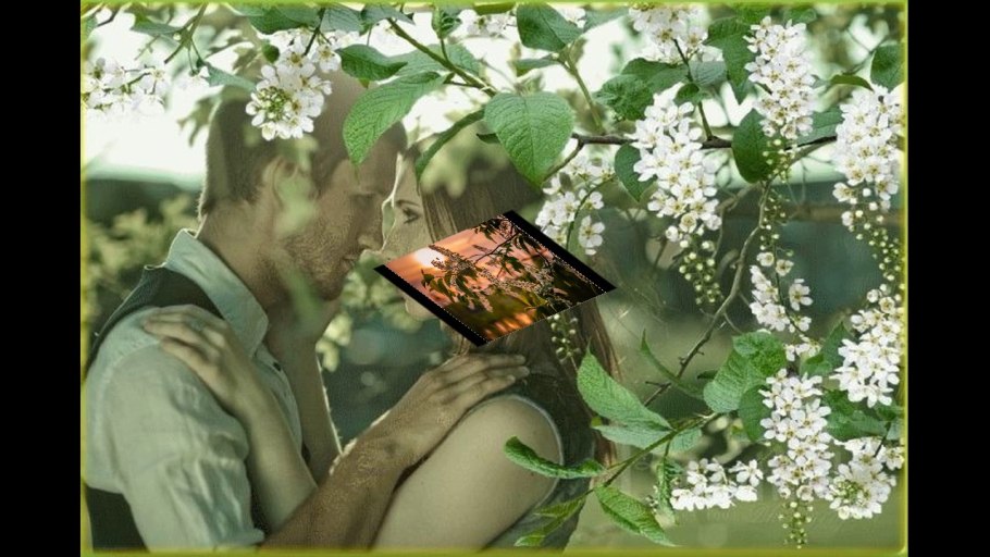 Весна подснежники крокусы