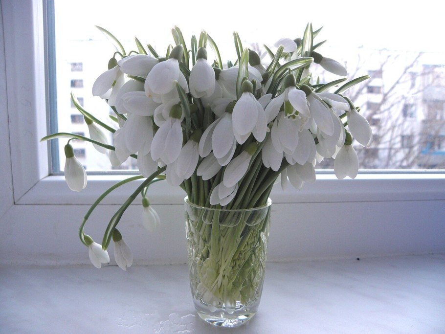 Наступила Весна