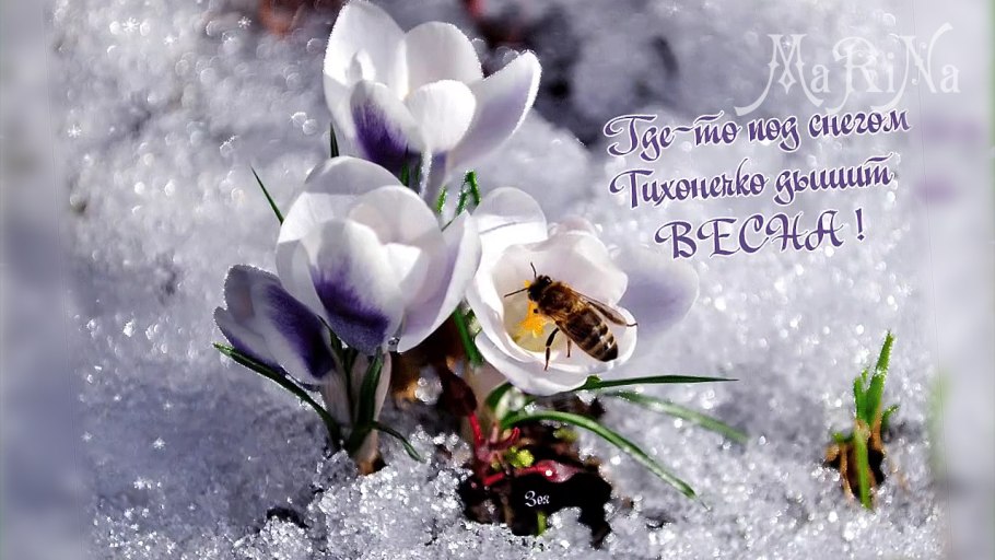 Весенние открытки