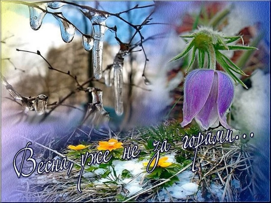 Первоцветы и раннецветущие