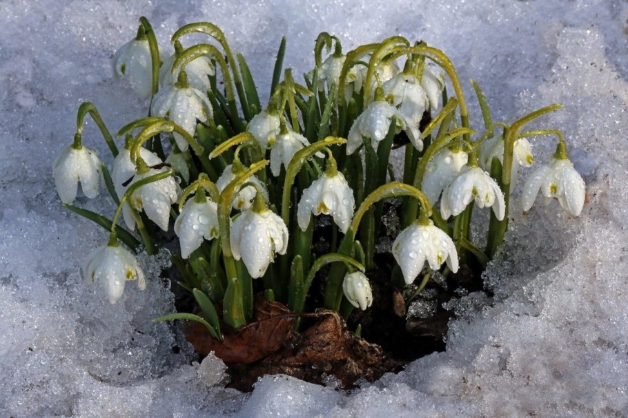 С наступлением весны